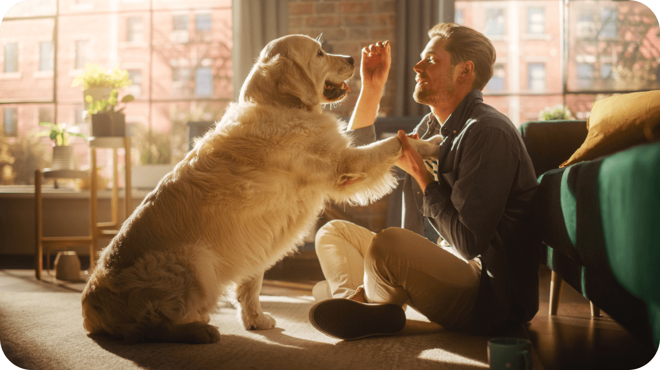 Psí hotel  - Muž trénující psa v bytě