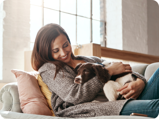 Co je domácí psí hotel?